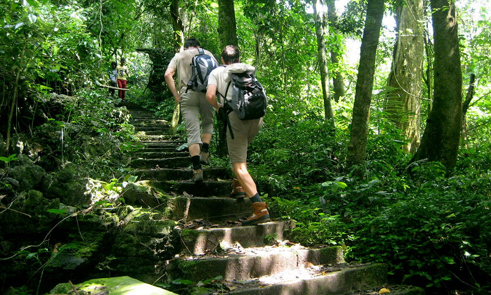 Hiking-at-cuc-phuong-national-park