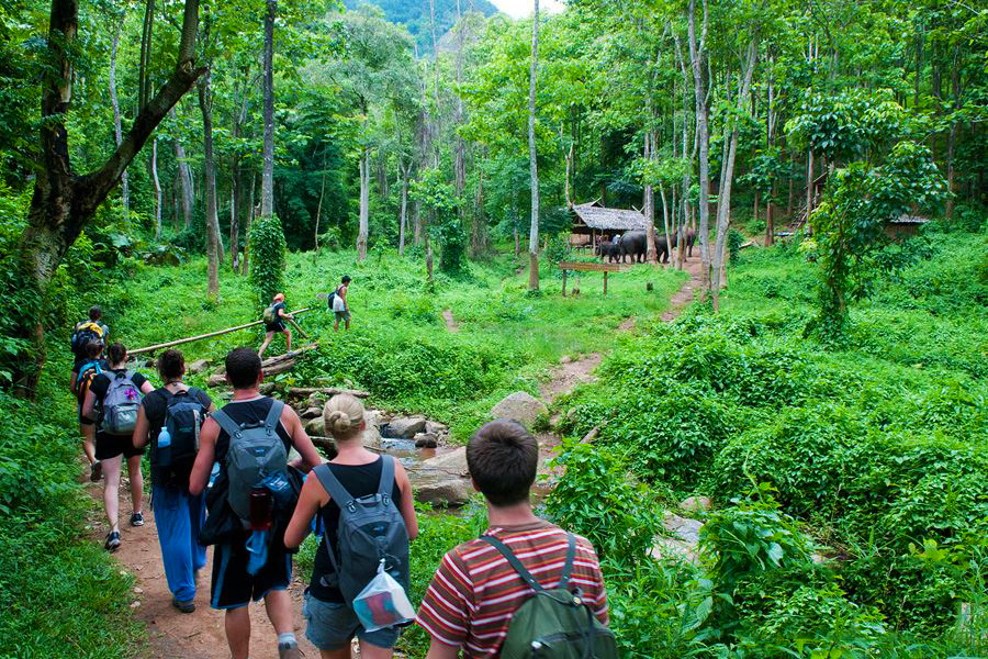 trekking-at-cuc-phuong-natinal-park
