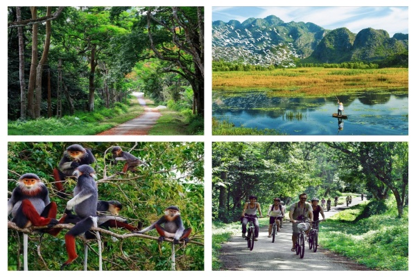 Unmissable Cuc Phuong National Part Tour & Long Wetland Adventure from Hanoi