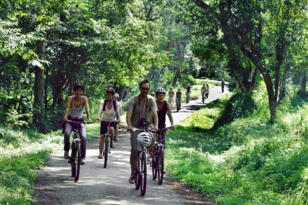 Cycle to Cuc Phuong National Park from Ninh Binh: Pedal Paradise Awaits