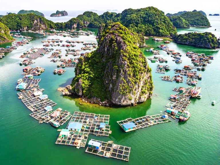 day trip from hanoi to halong bay