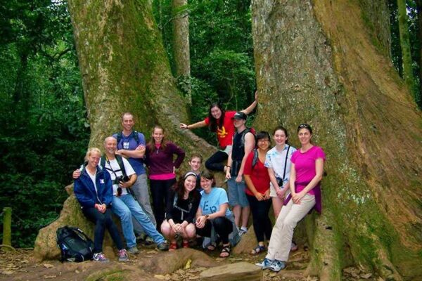 Thousand-Year Acacia Quest: Nature's Epic in Cuc Phuong Park