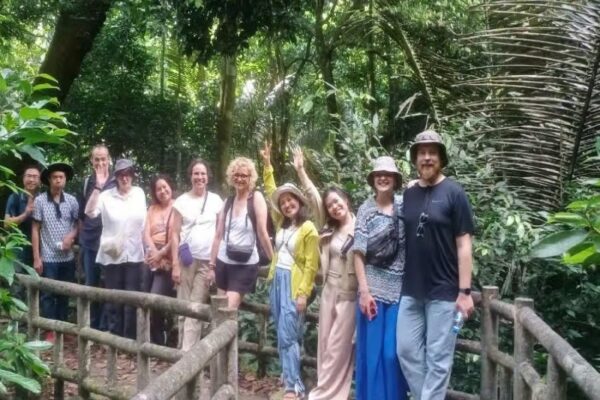 Stroll leisurely to the millennial tree and immerse yourself in the pure nature of Cuc Phuong national park