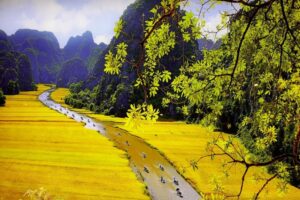 Ninh Binh 1 Day Itinerary Guide: How to Make the Most of Your Trip