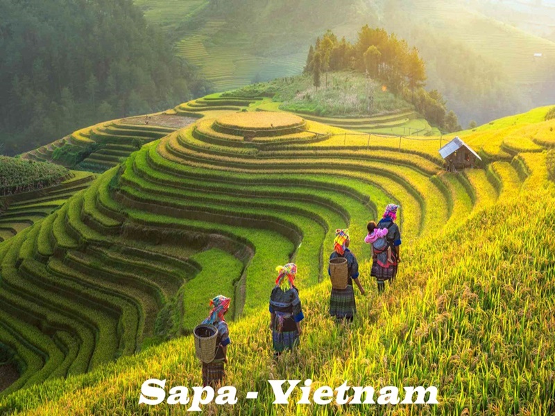 Sapa-Viet-Nam