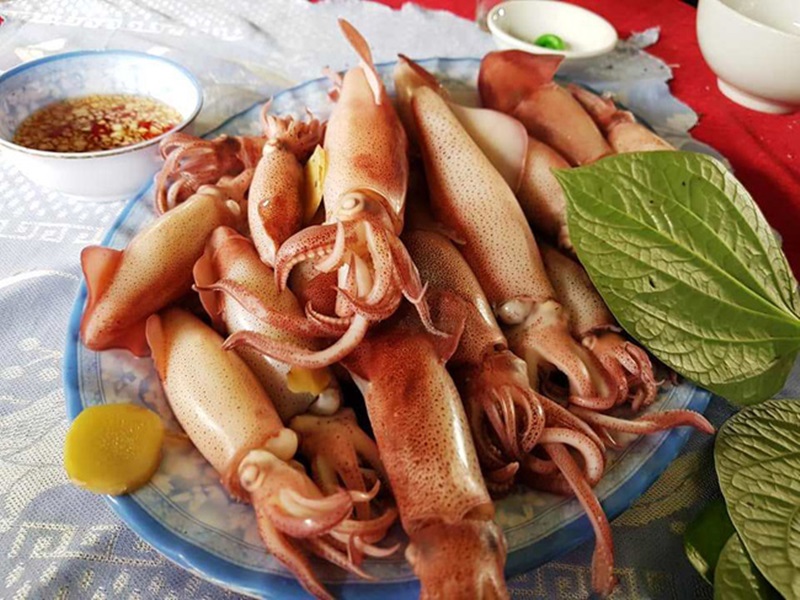 Squids-in-lan-ha-bay