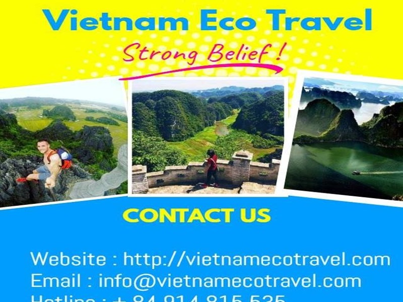 which travel companies go to vietnam
