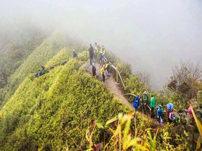 trekking-to-fansipan-mountain