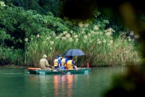 Experience Ninh Binh in December: cool vibes, misty fields, and timeless natural serenity