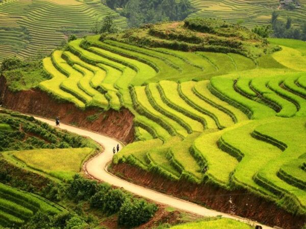 Cat Cat Village Sapa: The most beautiful village in the Northwest