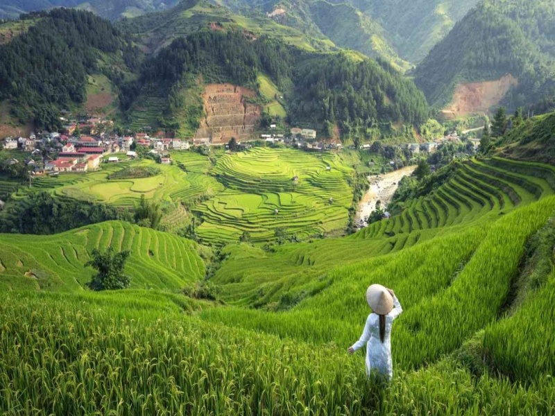 Explore lush landscapes and green terraces starting in Sapa.
