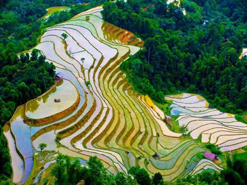 rice-fields-in-watering-season