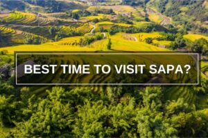 Discover the best time to visit Sapa for stunning terraced fields