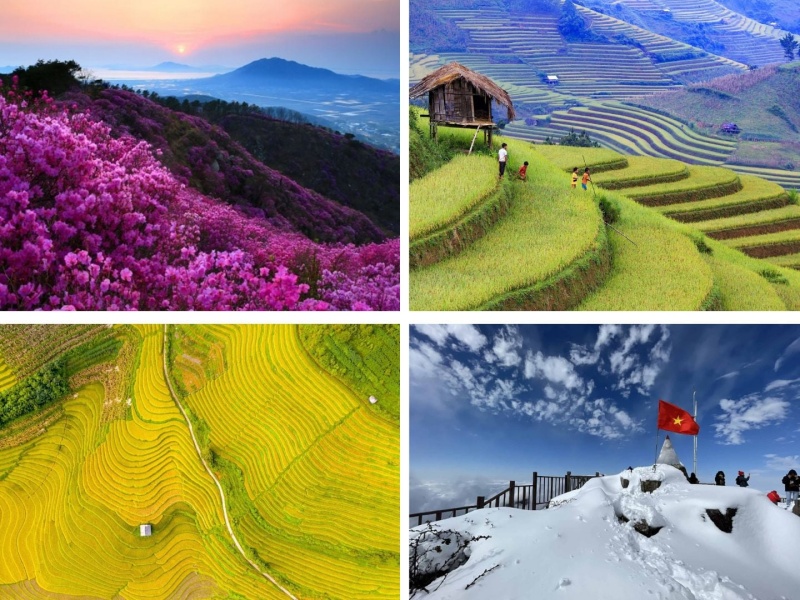 Find out the best time to visit Sapa for clear skies and vibrant colors.