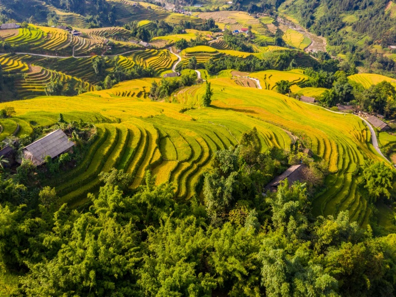 Autumn in Sapa offers golden terraces, majestic falls, and endless panoramic vistas.