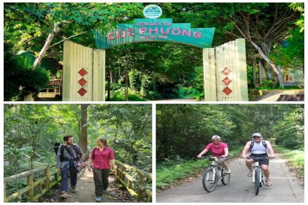 Adventure Awaits: Cuc Phuong Day Trip from Ninh Binh