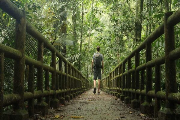 Trek lush trails and discover wildlife on this exciting Cuc Phuong day tour from Ninh Binh