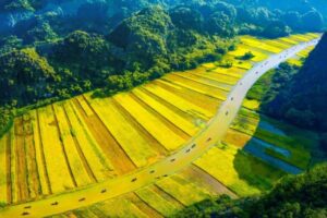 Wander Ninh Binh rice fields: lush green terraces whispering Vietnam's rural magic