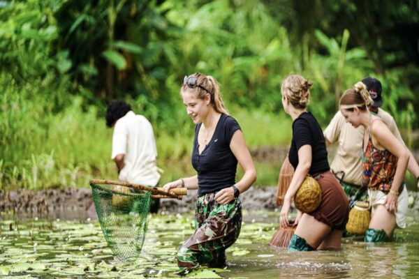 half-day-tour-in-ninh-binh