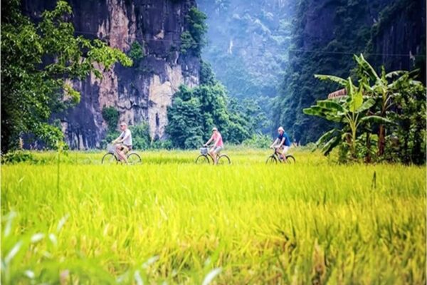 private cycling tour in Ninh Binh