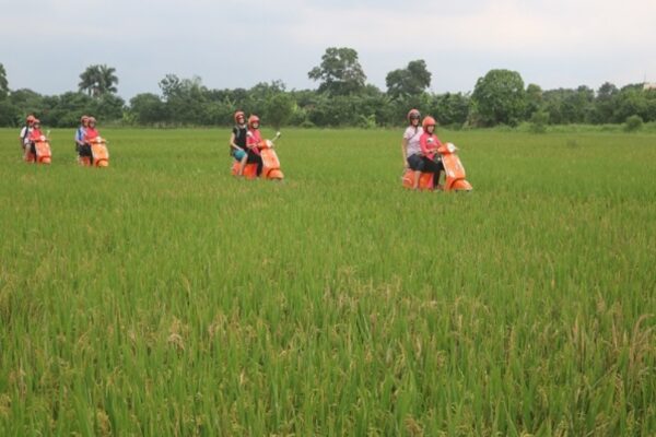 best vespa tour in ninh binh34