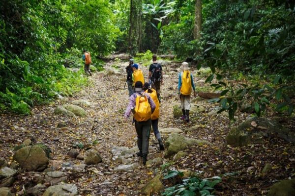 Private trekking tour at cuc phuong national park