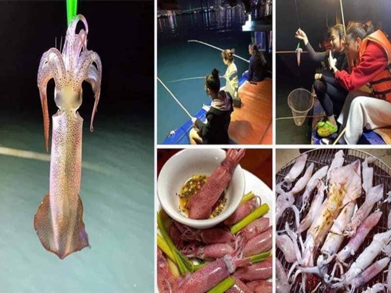 Experience the Magic of Night Squid Fishing in Lan Ha Bay