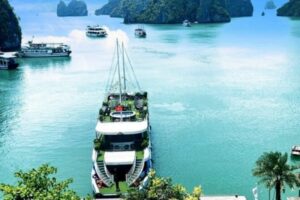 Unforgettable Lan Ha Bay Cruise Activities to Elevate Your Travel Experience