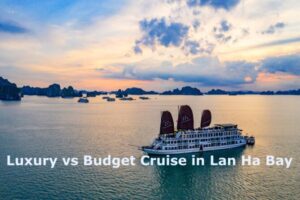 Conflicted Between Budget and Luxury Cruises? Discover the Best Choice