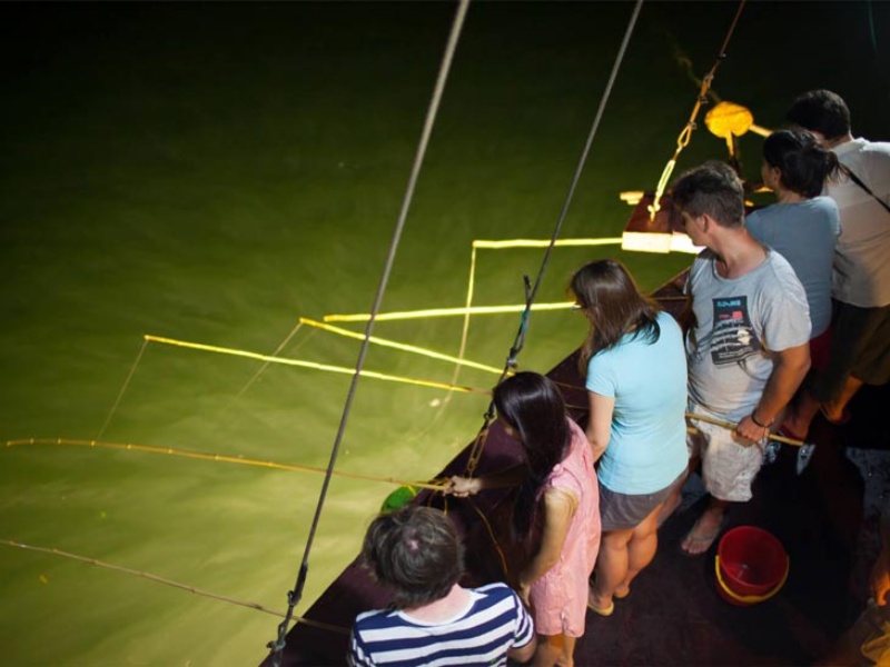 Catch the Excitement: Why Squid Fishing is Fun for Everyone!