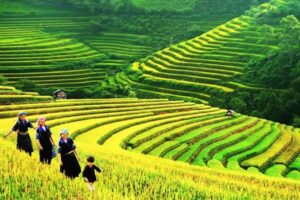 Sapa 2 Day Itinerary: Best Trekking Routes and Ethnic Village Visits