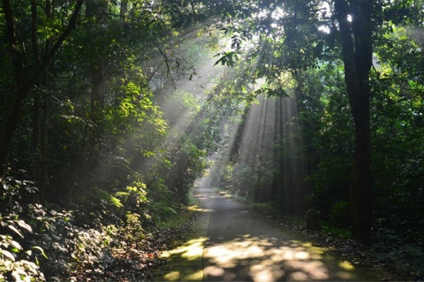 Easy Escape: Ninh Bình to Cuc Phuong's Wild Forest Wonders