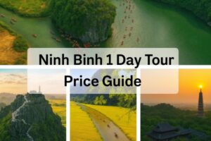 Discover Affordable Ninh Binh 1 Day Tour Price Options