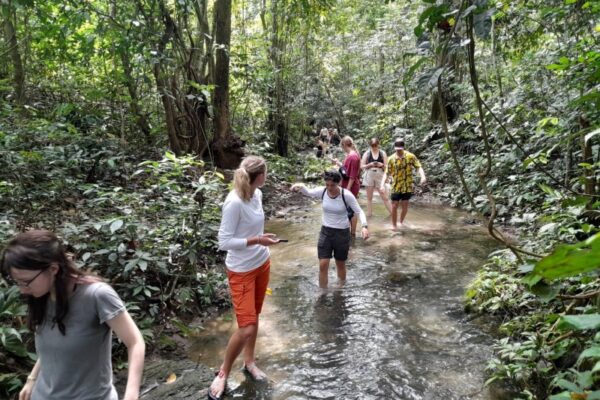 Ninh Binh Start: More Time for Epic Trekking in Cuc Phuong Nationa Park