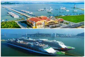 Experience a day cruise in Halong Bay departing from Halong International Cruise Port: A journey filled with scenic views.