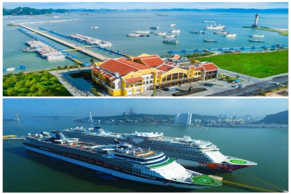 Experience a day cruise in Halong Bay departing from Halong International Cruise Port: A journey filled with scenic views.