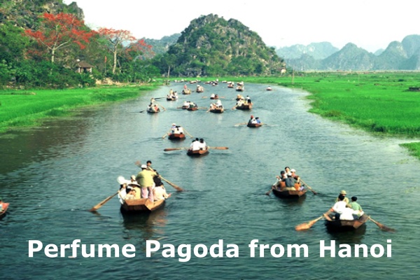 Join a perfume pagoda day tour from Hanoi for breathtaking limestone landscapes.