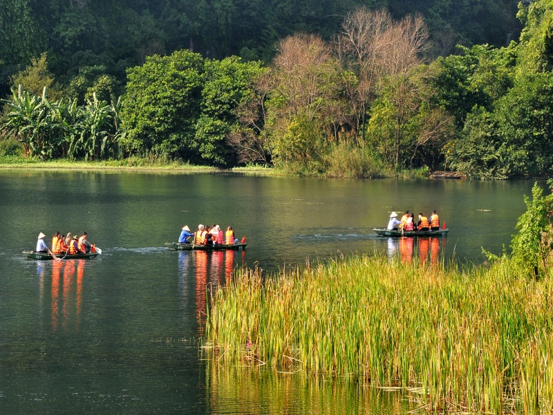 Ninh Binh weather decoded: Monthly climate, temperature & rain guide—plan dreamy rice field escapades!