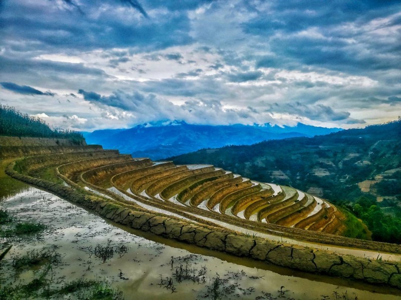 The peaceful mood offers unique mountain beauty, even without golden rice