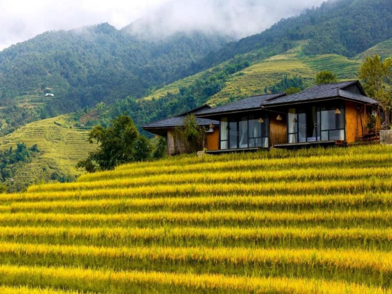Wake up to misty mornings and join locals in harvesting rice or planting vegetables