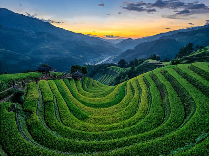 From July through August, the rice terraces burst into vibrant green, creating stunning "stairways to heaven."
