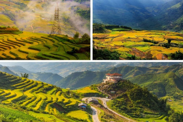 Saba Rice Fields Sapa Rice Fields - A natural masterpiece capturing people's hearts