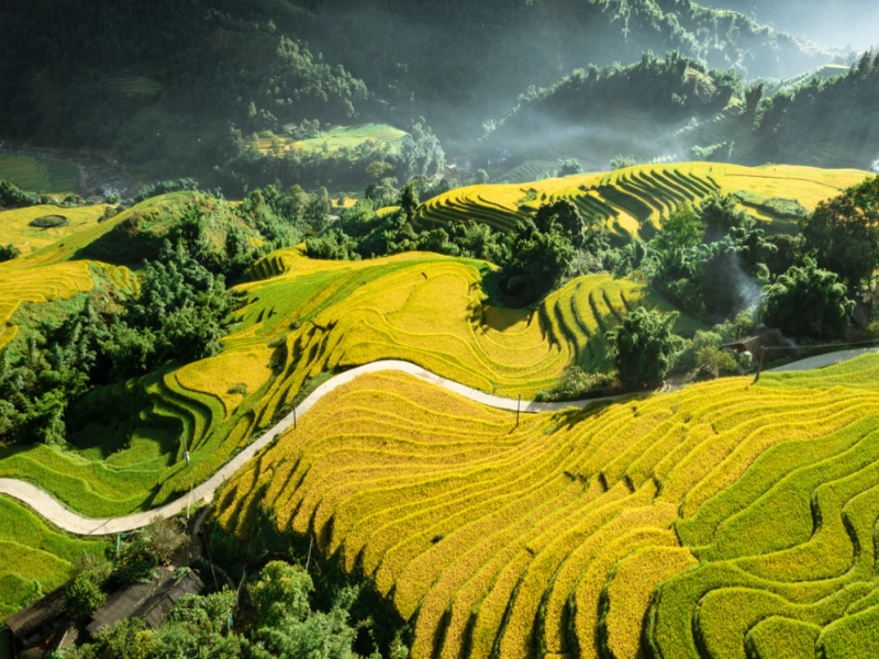 Sapa Weather Guide: Monthly Climate & Travel Tips for Tourists