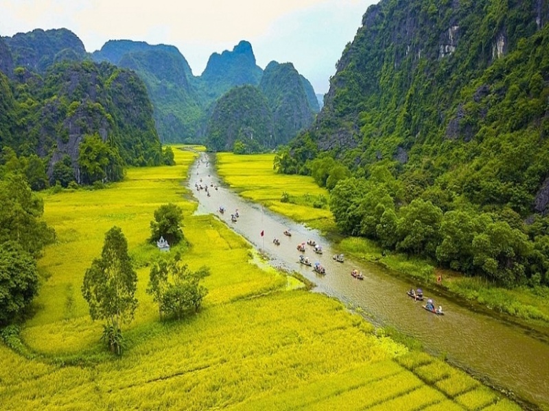 Ninh Binh in September offers aerial views of ripening rice, golden fields against green peaks for stunning pics.