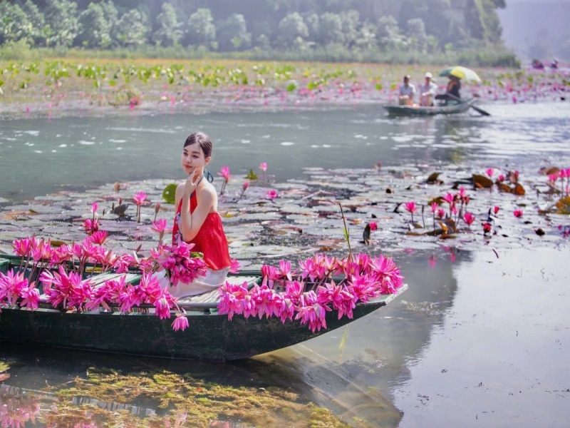 October brings blooming water lilies to ponds, crafting serene, poetic vistas that enchant.