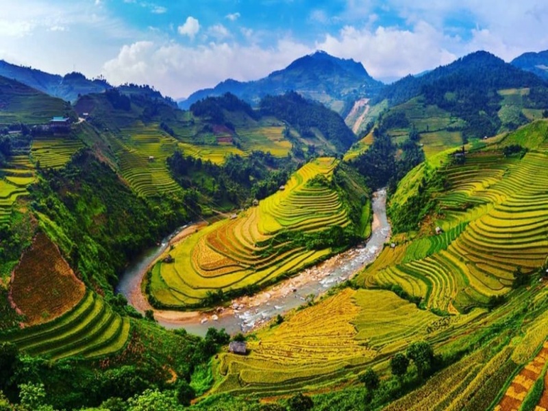 Sa Pa during the rice harvest season is distinguished by the gentle autumn sunshine and the golden hues of ripe rice covering the terraced fields.