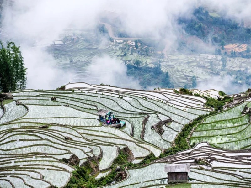 Muong Hoa Valley terraces turn brown or reflective as farmers prepare fields for the upcoming planting season.