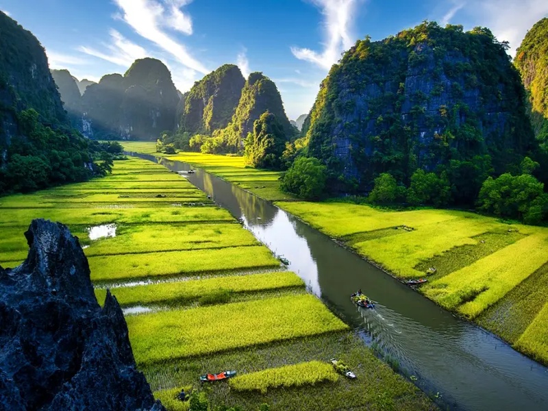 Late harvest October: Ninh Binh paddies shimmer golden, enchanting Ngo Dong riverside.