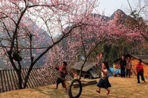 Visit Sapa in January for a unique winter escape in the Vietnamese highlands