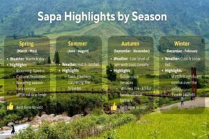 Discover Sapa weather by month with our ultimate travel guide